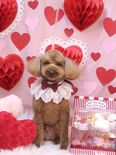 20240229ぷぅくん